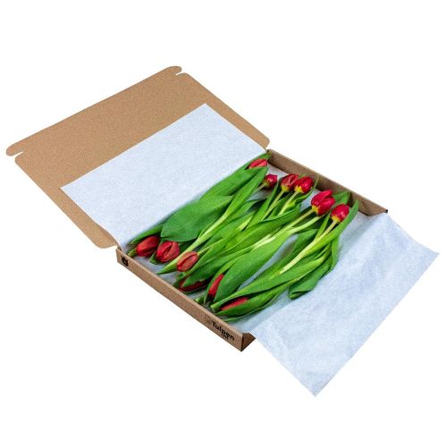 Tulips in giftbox - Image 2